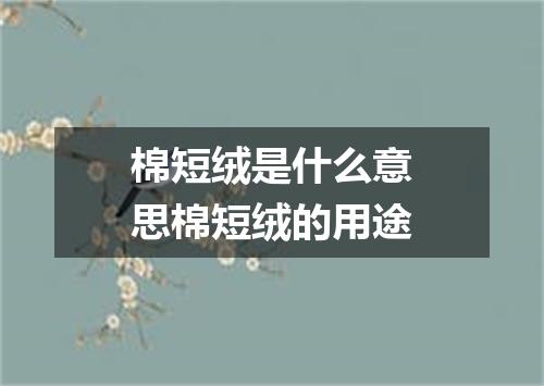 棉短绒是什么意思棉短绒的用途