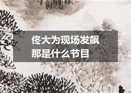 佟大为现场发飙那是什么节目