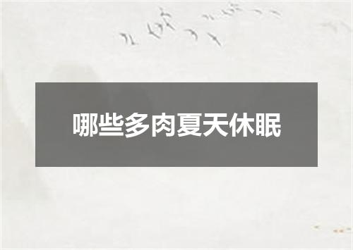 哪些多肉夏天休眠