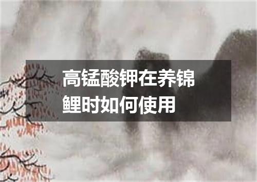 高锰酸钾在养锦鲤时如何使用