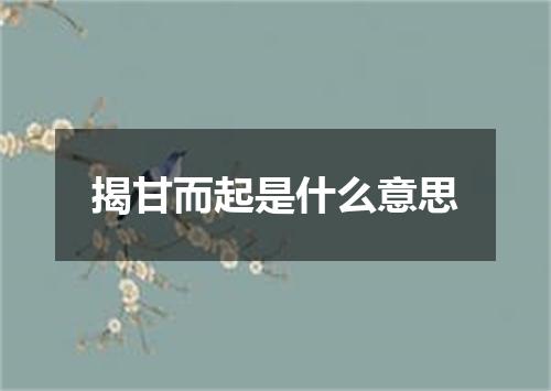 揭甘而起是什么意思
