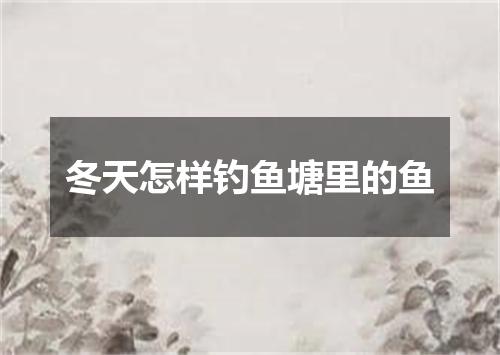冬天怎样钓鱼塘里的鱼