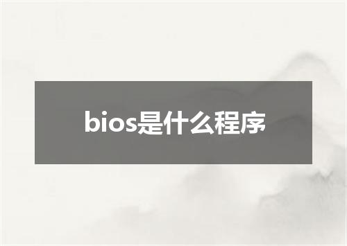 bios是什么程序