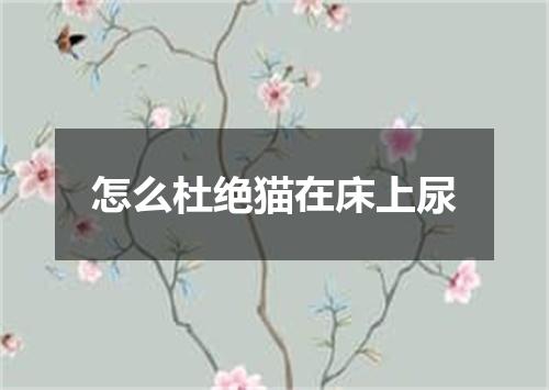 怎么杜绝猫在床上尿