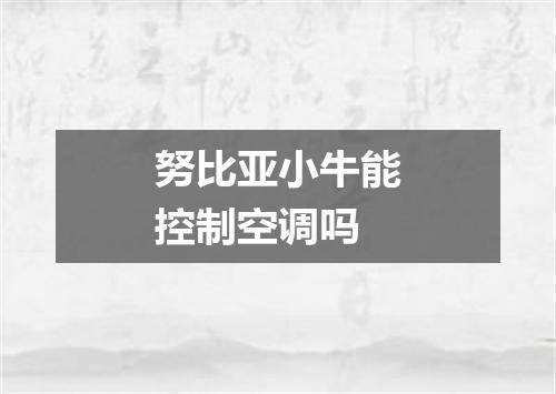 努比亚小牛能控制空调吗