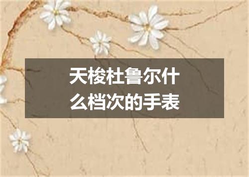 天梭杜鲁尔什么档次的手表