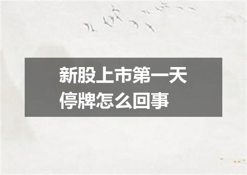新股上市第一天停牌怎么回事