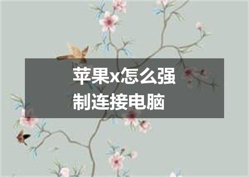 苹果x怎么强制连接电脑