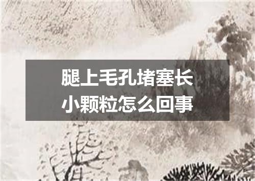 腿上毛孔堵塞长小颗粒怎么回事