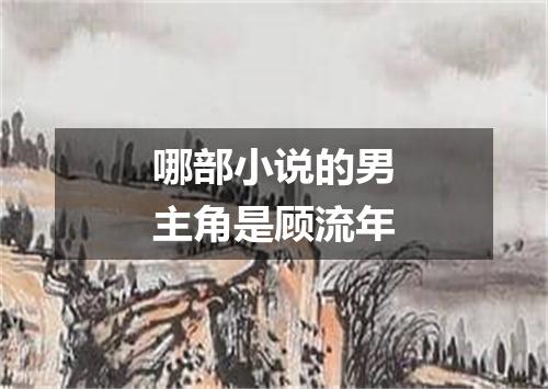 哪部小说的男主角是顾流年