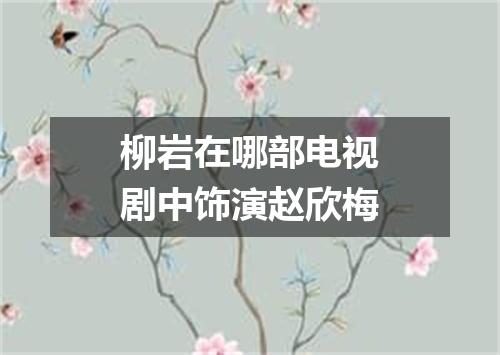 柳岩在哪部电视剧中饰演赵欣梅