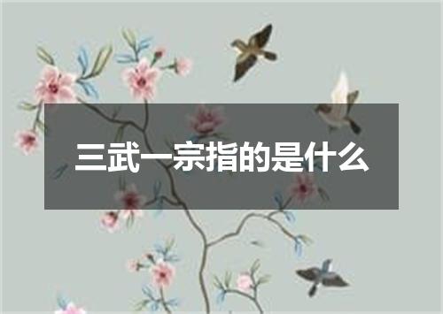 三武一宗指的是什么