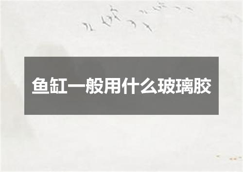 鱼缸一般用什么玻璃胶