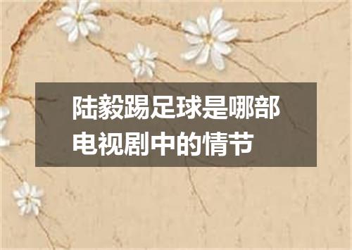 陆毅踢足球是哪部电视剧中的情节