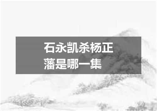 石永凯杀杨正藩是哪一集