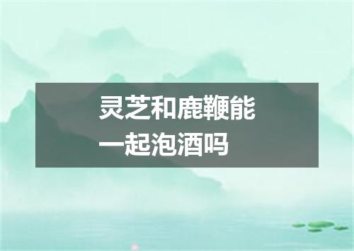 灵芝和鹿鞭能一起泡酒吗