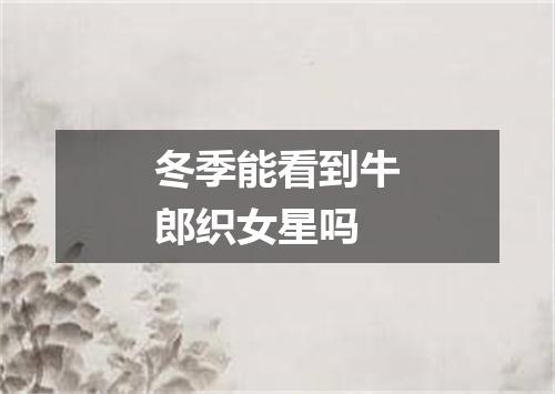 冬季能看到牛郎织女星吗