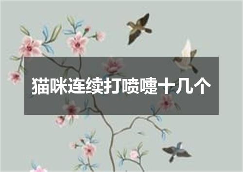 猫咪连续打喷嚏十几个