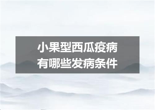 小果型西瓜疫病有哪些发病条件