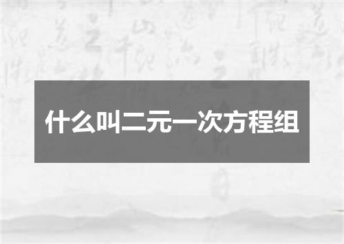 什么叫二元一次方程组