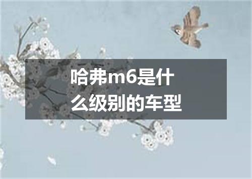 哈弗m6是什么级别的车型