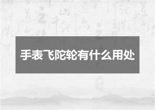 手表飞陀轮有什么用处