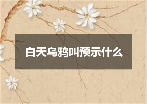 白天乌鸦叫预示什么