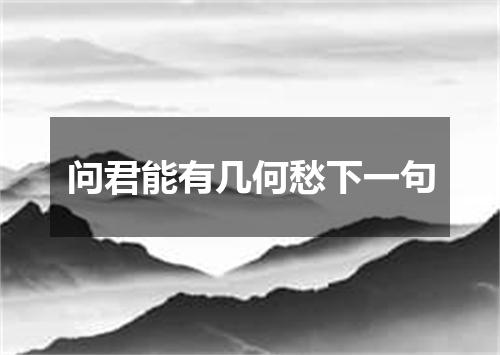 问君能有几何愁下一句