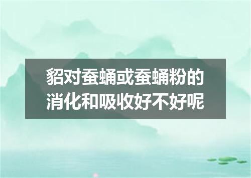 貂对蚕蛹或蚕蛹粉的消化和吸收好不好呢