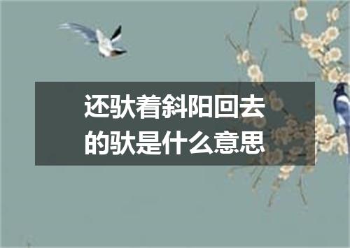 还驮着斜阳回去的驮是什么意思