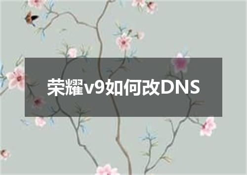 荣耀v9如何改DNS