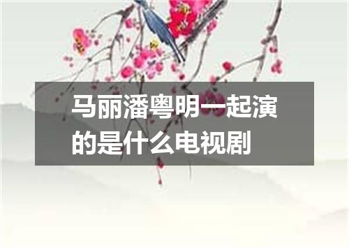 马丽潘粤明一起演的是什么电视剧