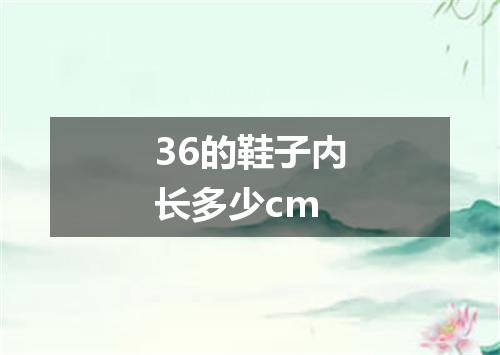 36的鞋子内长多少cm