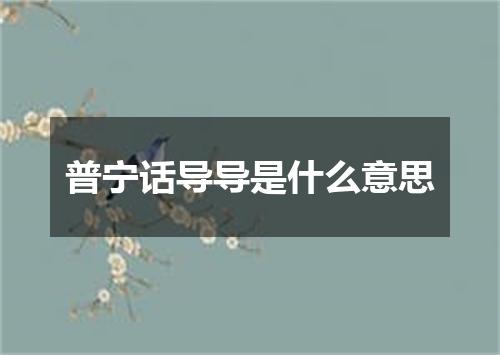 普宁话导导是什么意思