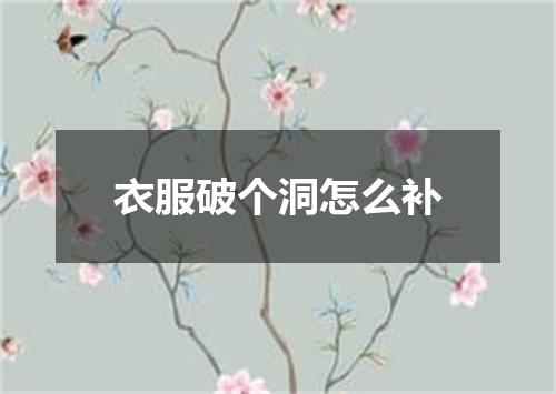 衣服破个洞怎么补