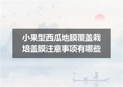 小果型西瓜地膜覆盖栽培盖膜注意事项有哪些