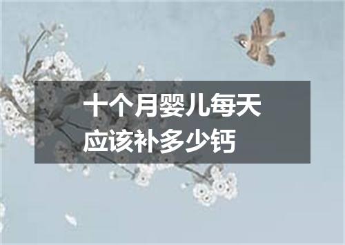 十个月婴儿每天应该补多少钙