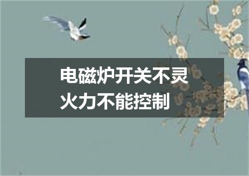 电磁炉开关不灵火力不能控制
