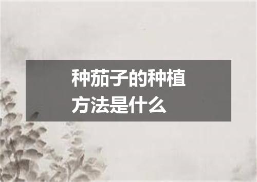 种茄子的种植方法是什么