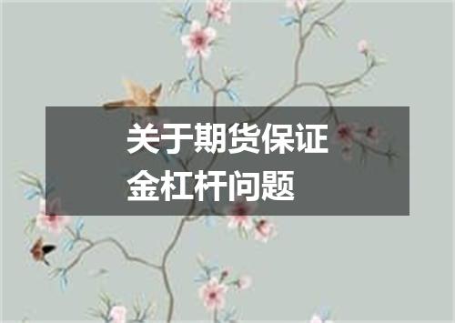 关于期货保证金杠杆问题