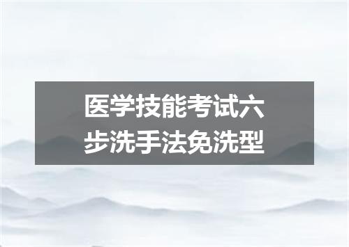 医学技能考试六步洗手法免洗型