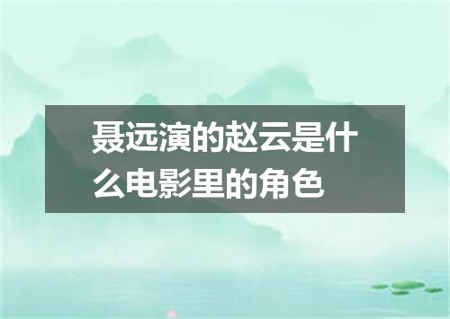 聂远演的赵云是什么电影里的角色