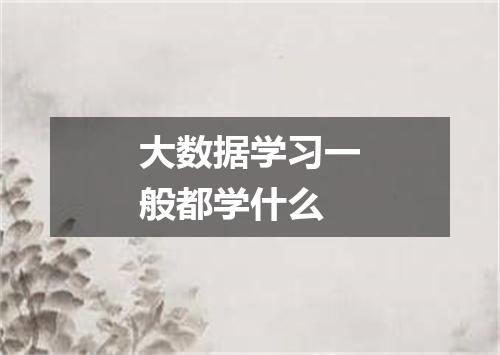 大数据学习一般都学什么