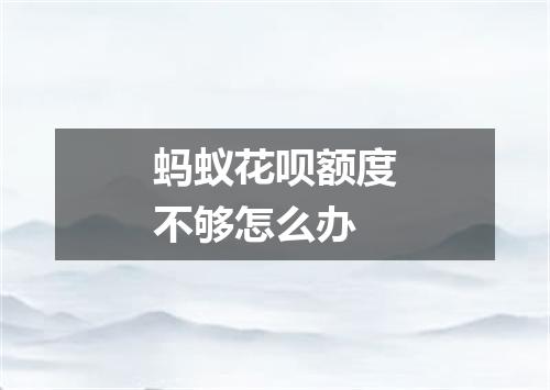 蚂蚁花呗额度不够怎么办