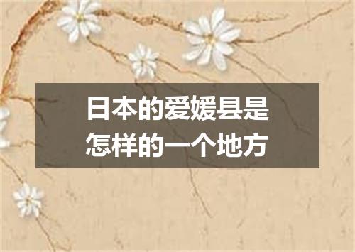 日本的爱媛县是怎样的一个地方