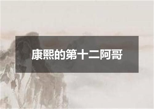 康熙的第十二阿哥