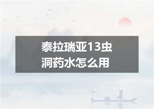 泰拉瑞亚13虫洞药水怎么用