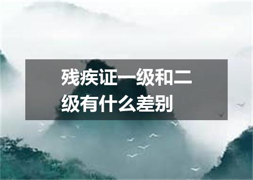 残疾证一级和二级有什么差别