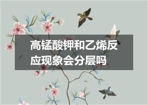 高锰酸钾和乙烯反应现象会分层吗