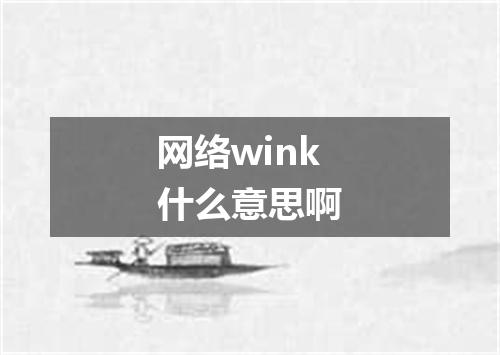 网络wink什么意思啊